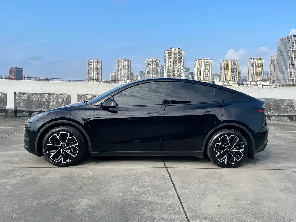 Tesla Model Y — фото 8