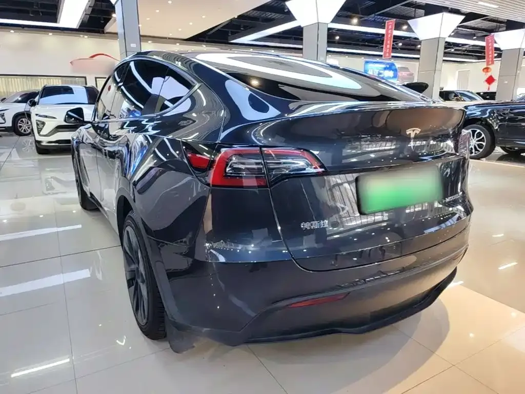 Tesla Model Y — фото 10
