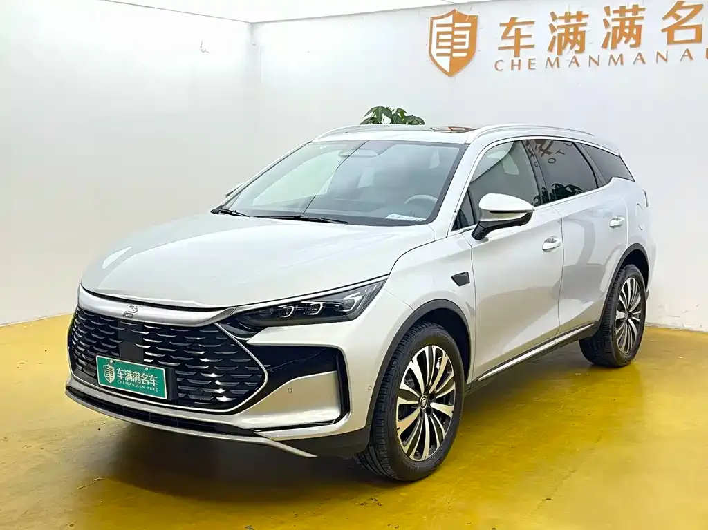BYD Tang New Energy — фото 1