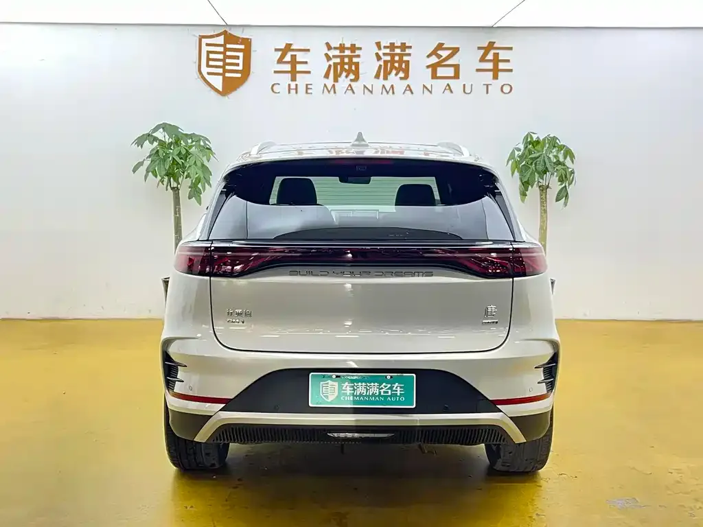 BYD Tang New Energy — фото 8