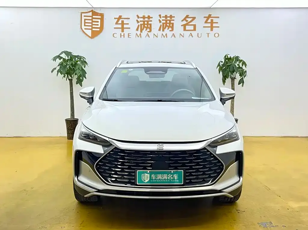 BYD Tang New Energy — фото 4