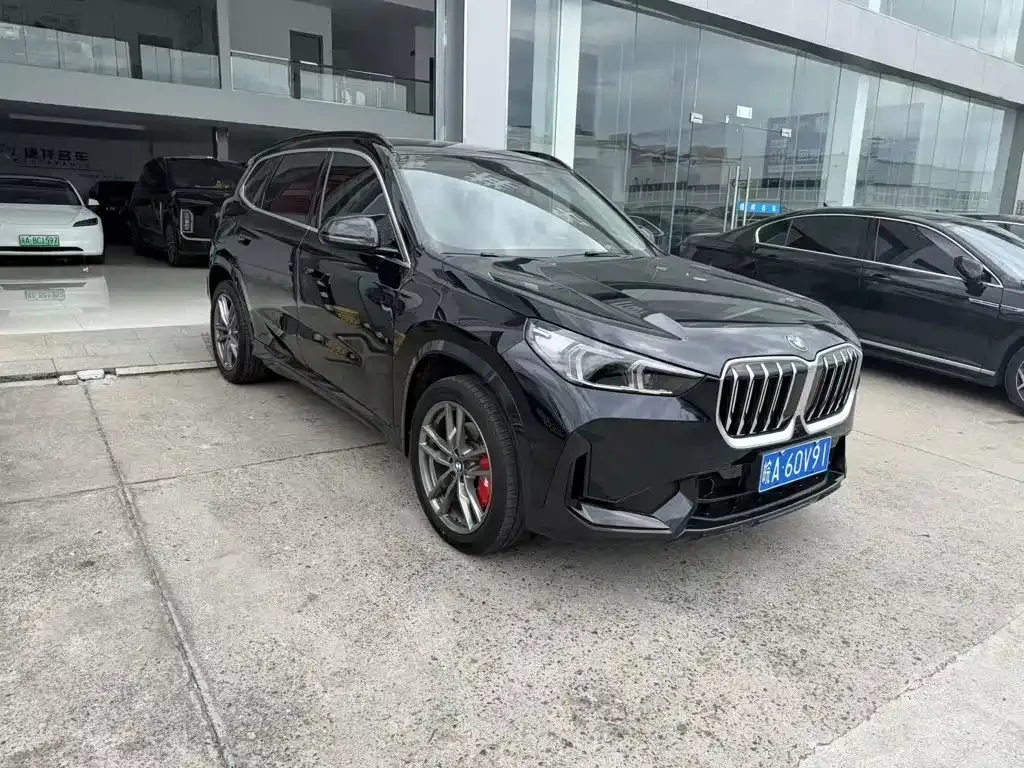 BMW X1 — фото 1
