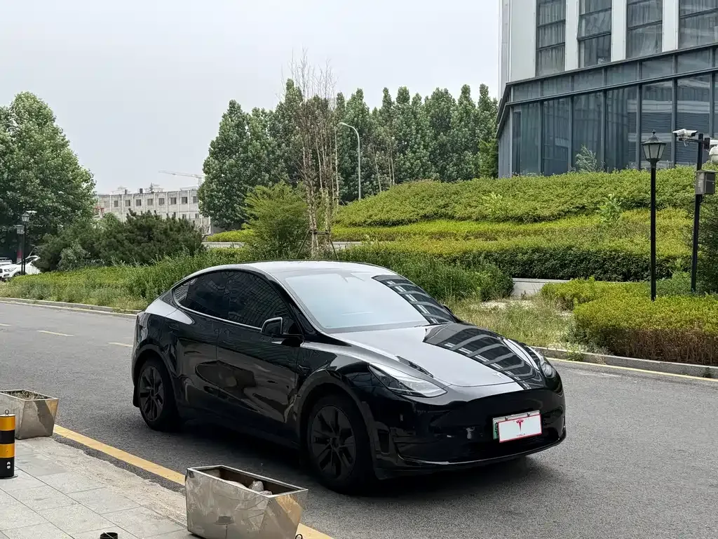Tesla Model Y — фото 6