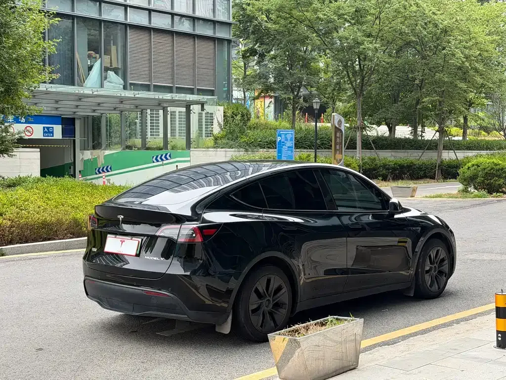 Tesla Model Y — фото 5