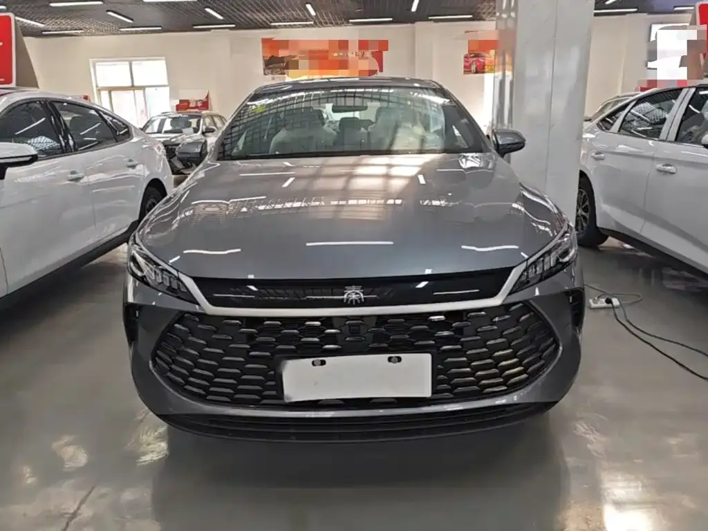 BYD Qin PLUS — фото 10