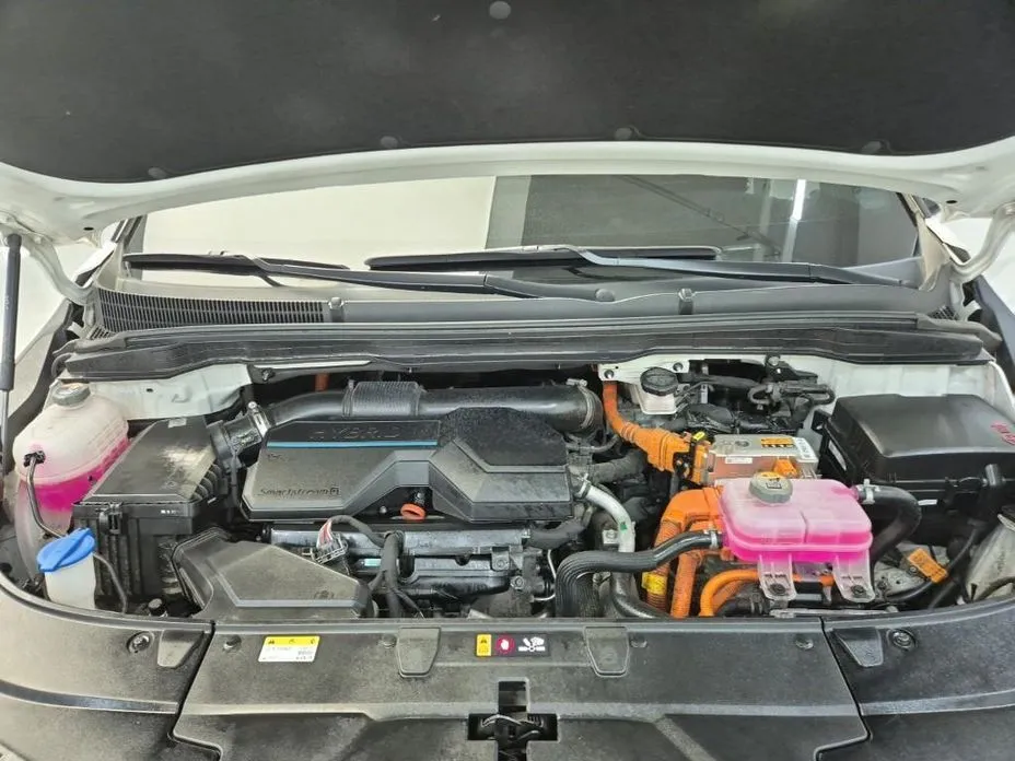 Kia Carnival — фото 10