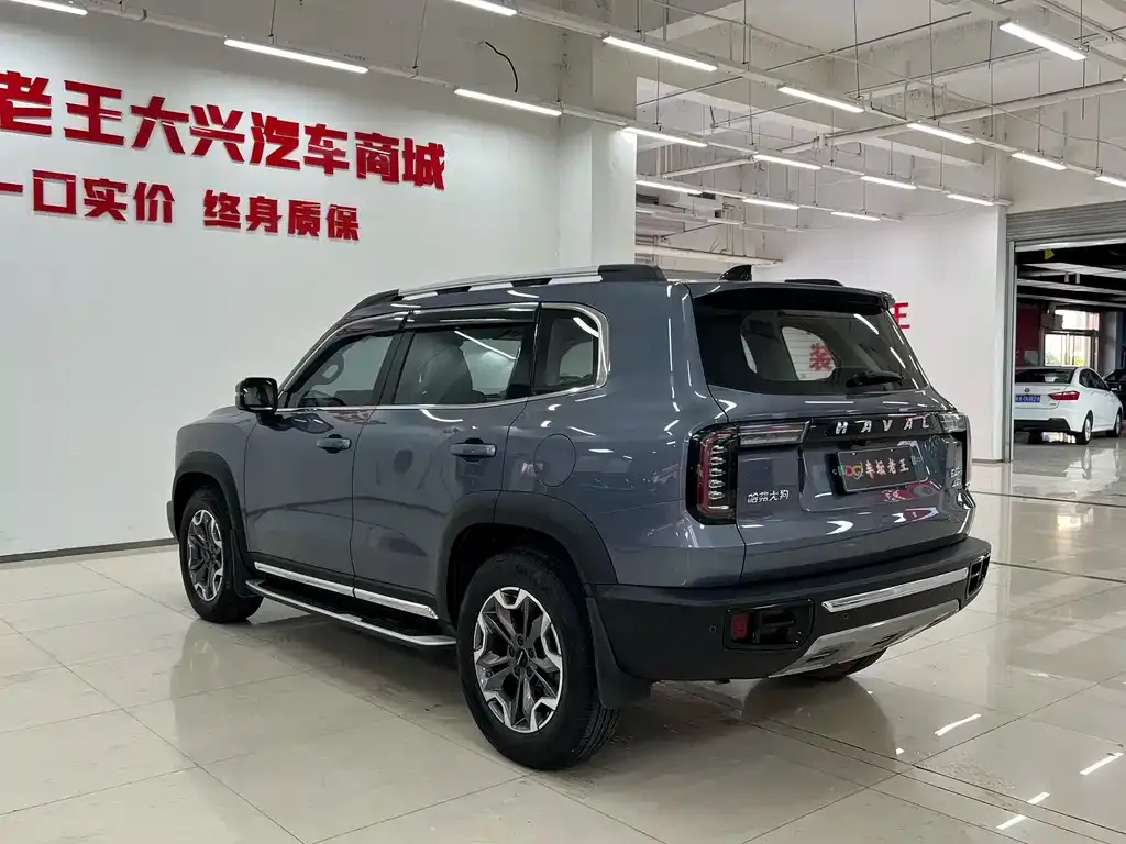 Haval Big Dog — фото 6