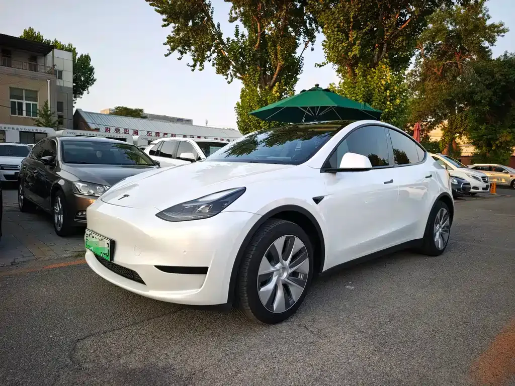 Tesla Model Y — фото 1