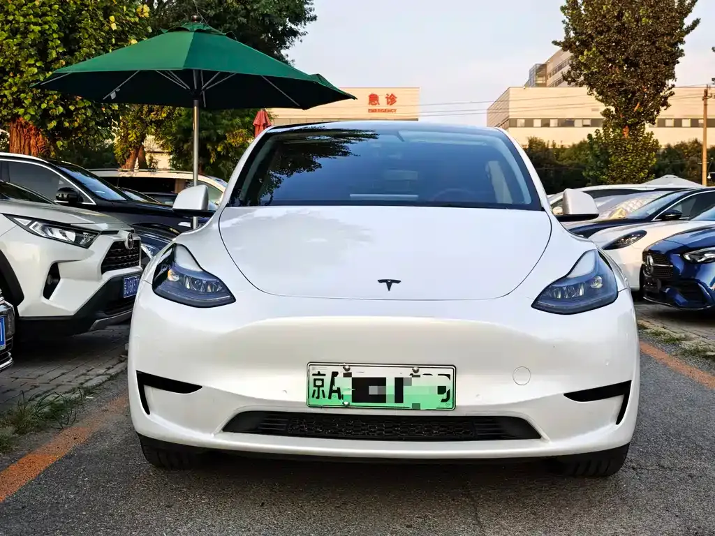 Tesla Model Y — фото 6