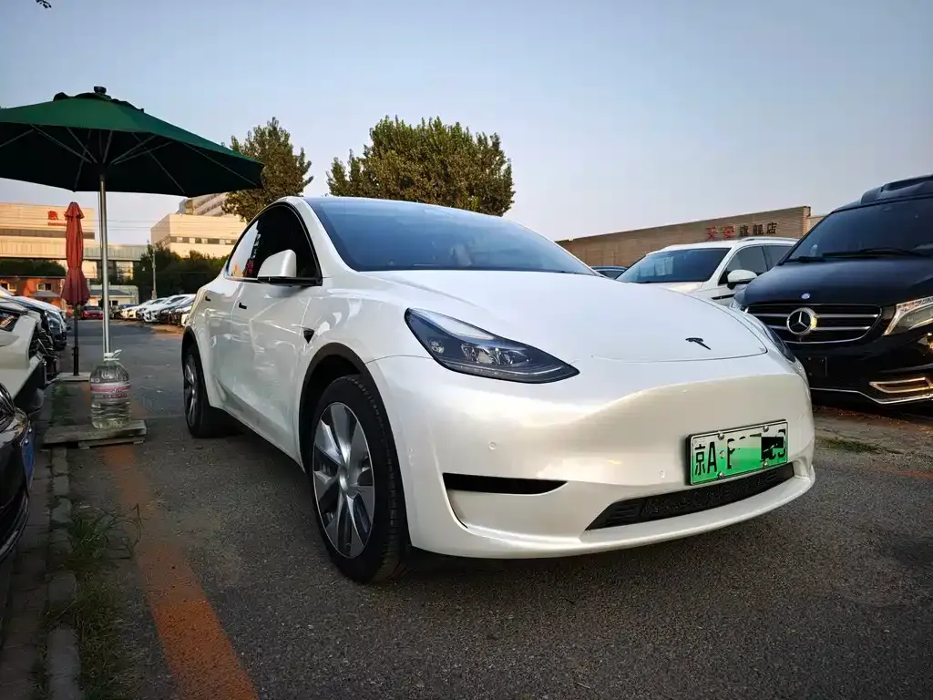 Tesla Model Y — фото 2