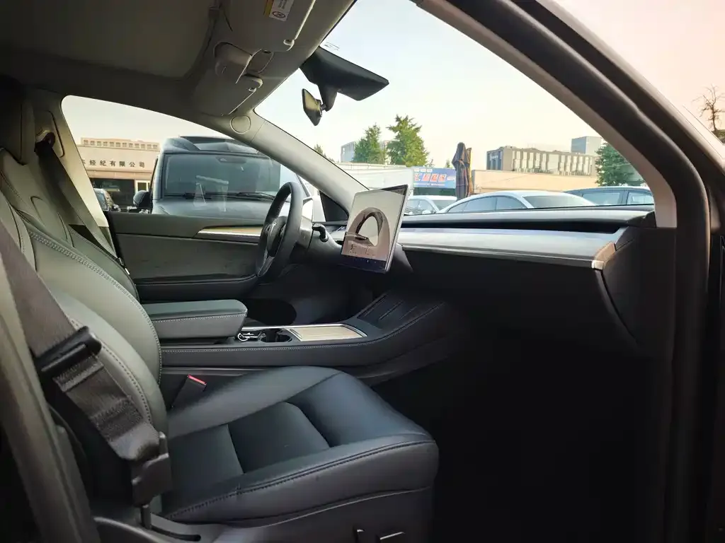 Tesla Model Y — фото 10