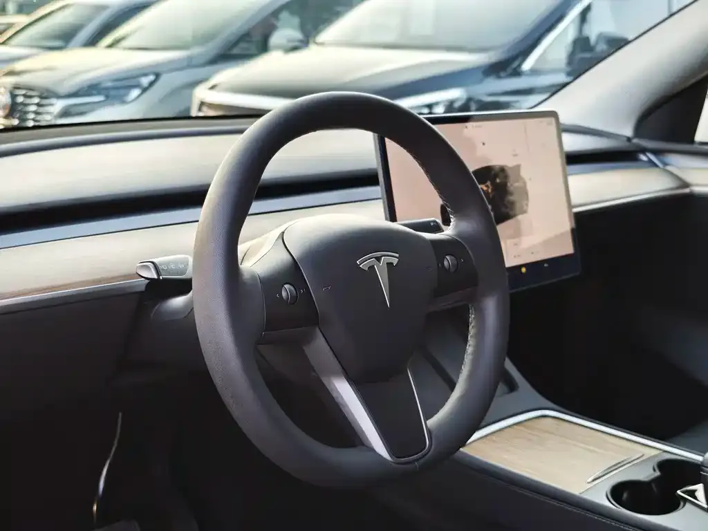 Tesla Model Y — фото 9