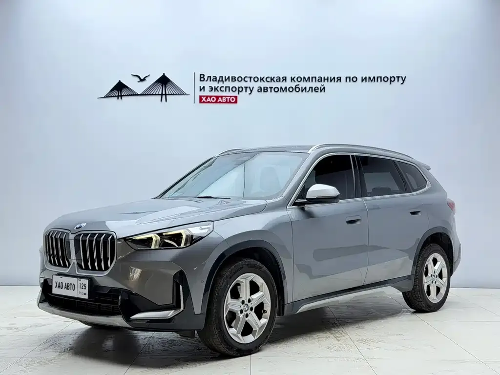 BMW X1 — фото 1