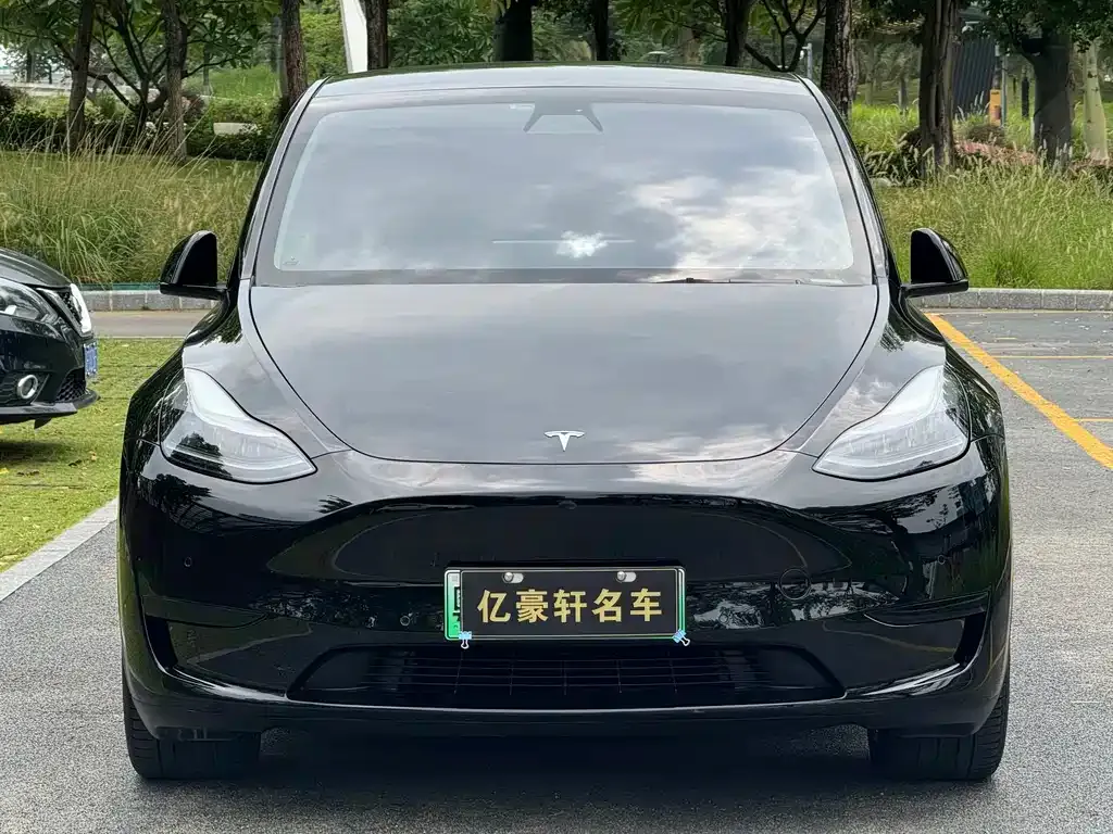 Tesla Model Y — фото 6