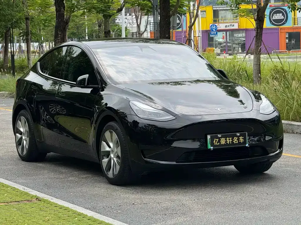Tesla Model Y — фото 9