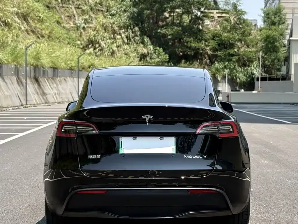 Tesla Model Y — фото 7