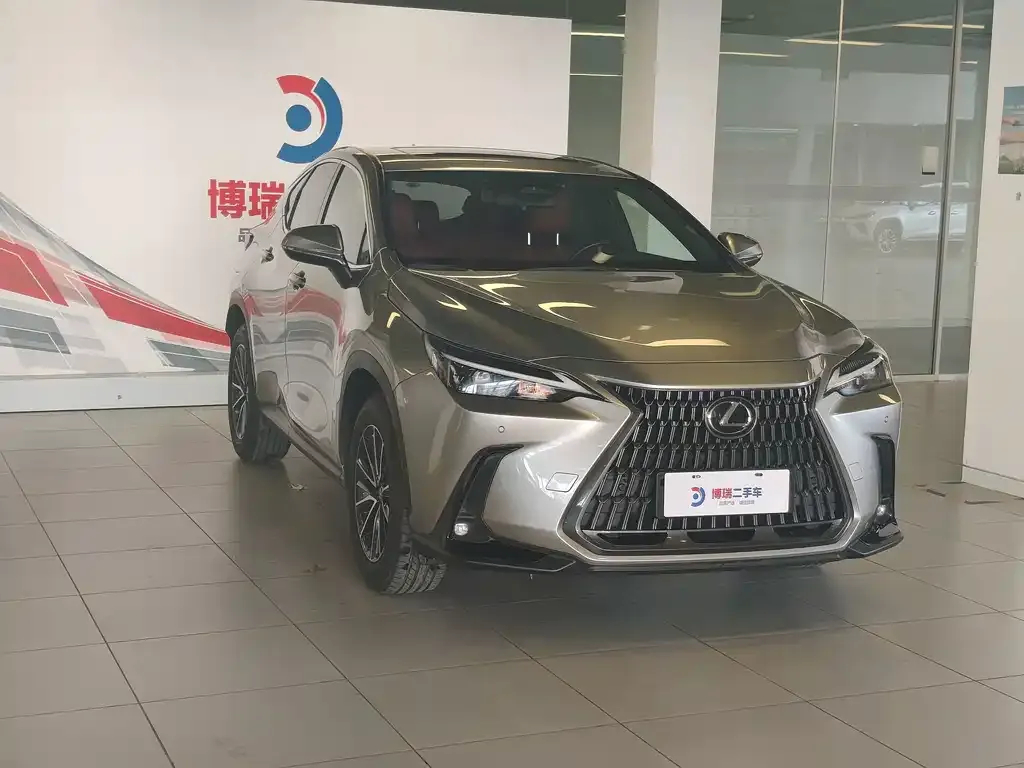 Lexus NX New Energy — фото 9