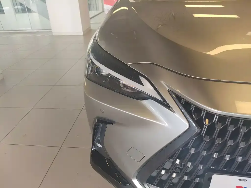 Lexus NX New Energy — фото 10
