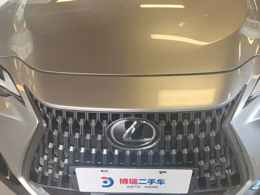 Lexus NX New Energy — фото 4