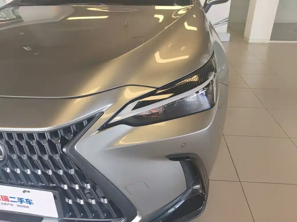 Lexus NX New Energy — фото 8