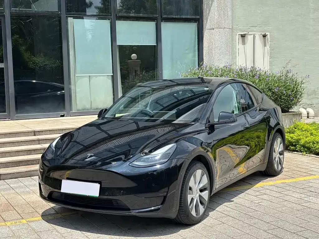 Tesla Model Y — фото 1