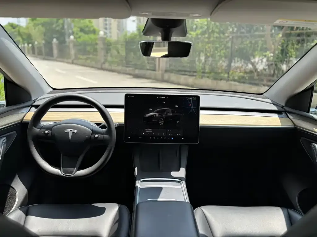Tesla Model Y — фото 9