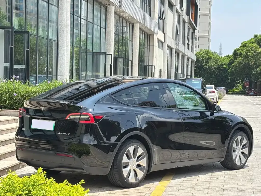 Tesla Model Y — фото 3