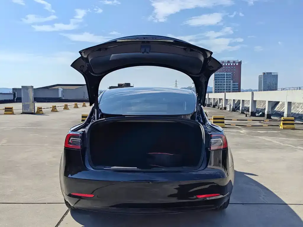 Tesla Model 3 — фото 4