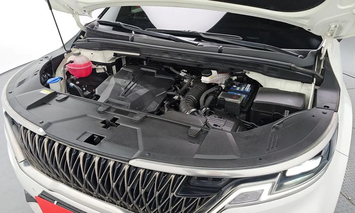 Kia Carnival — фото 10
