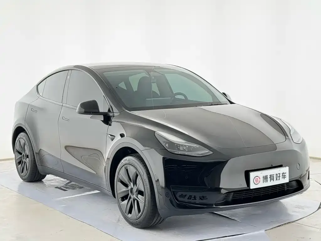 Tesla Model Y — фото 2