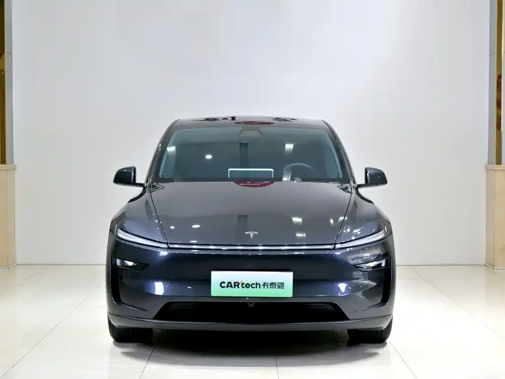 Tesla Model Y — фото 8