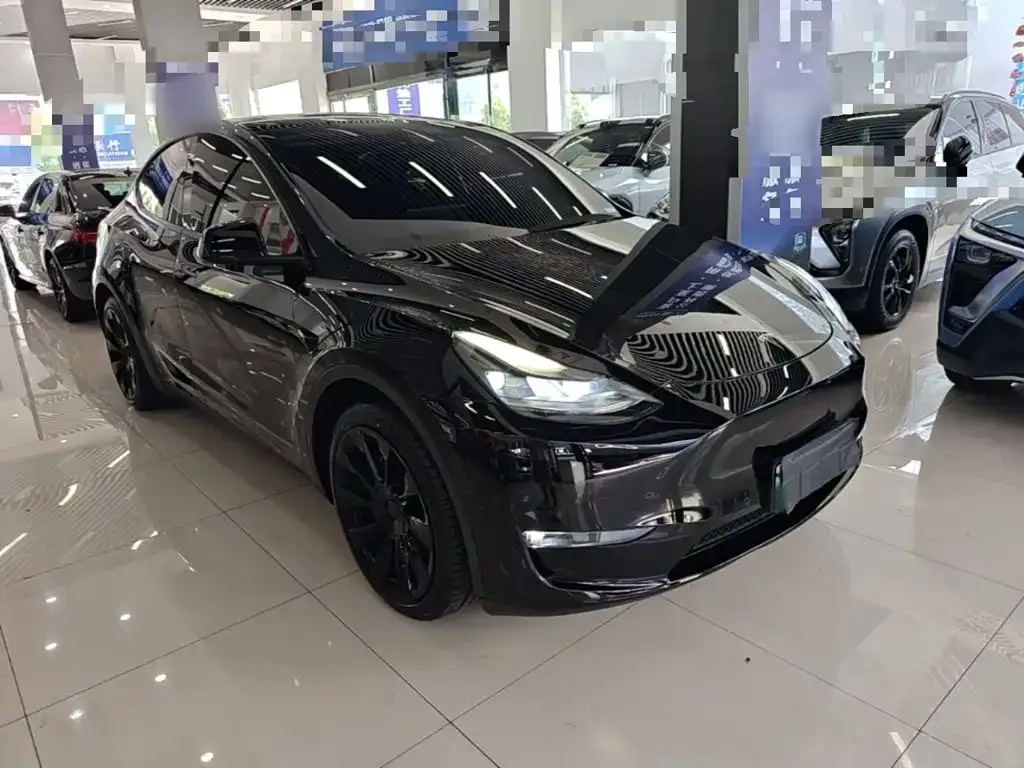 Tesla Model Y — фото 10
