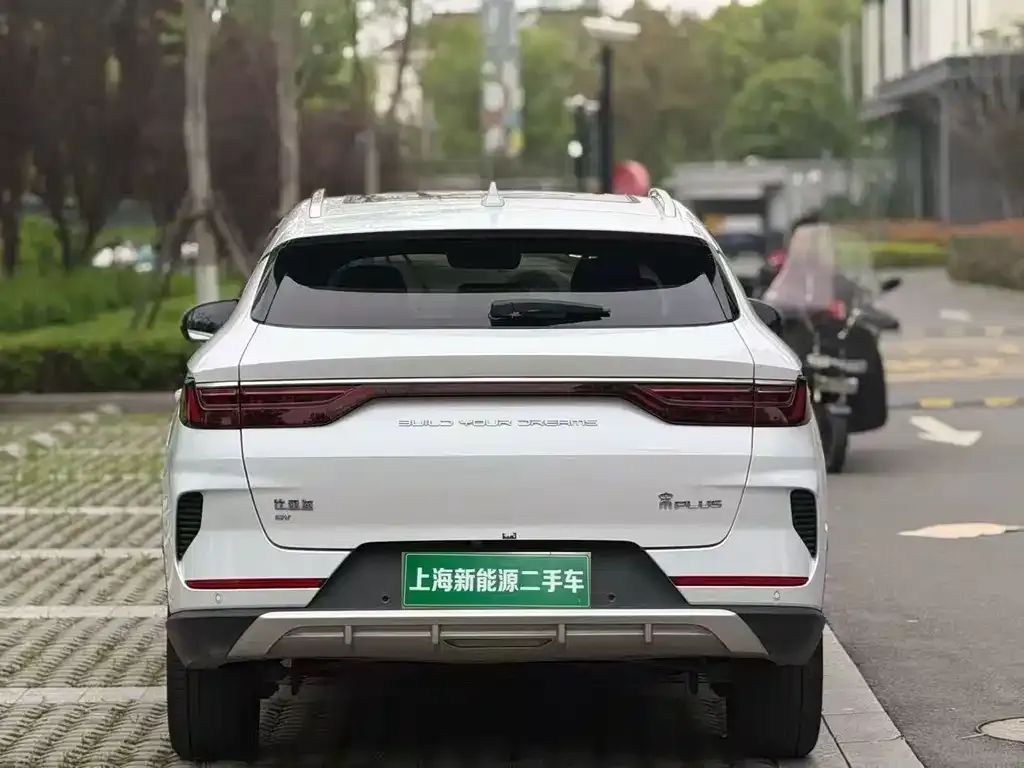 BYD PLUS New Energy — фото 3