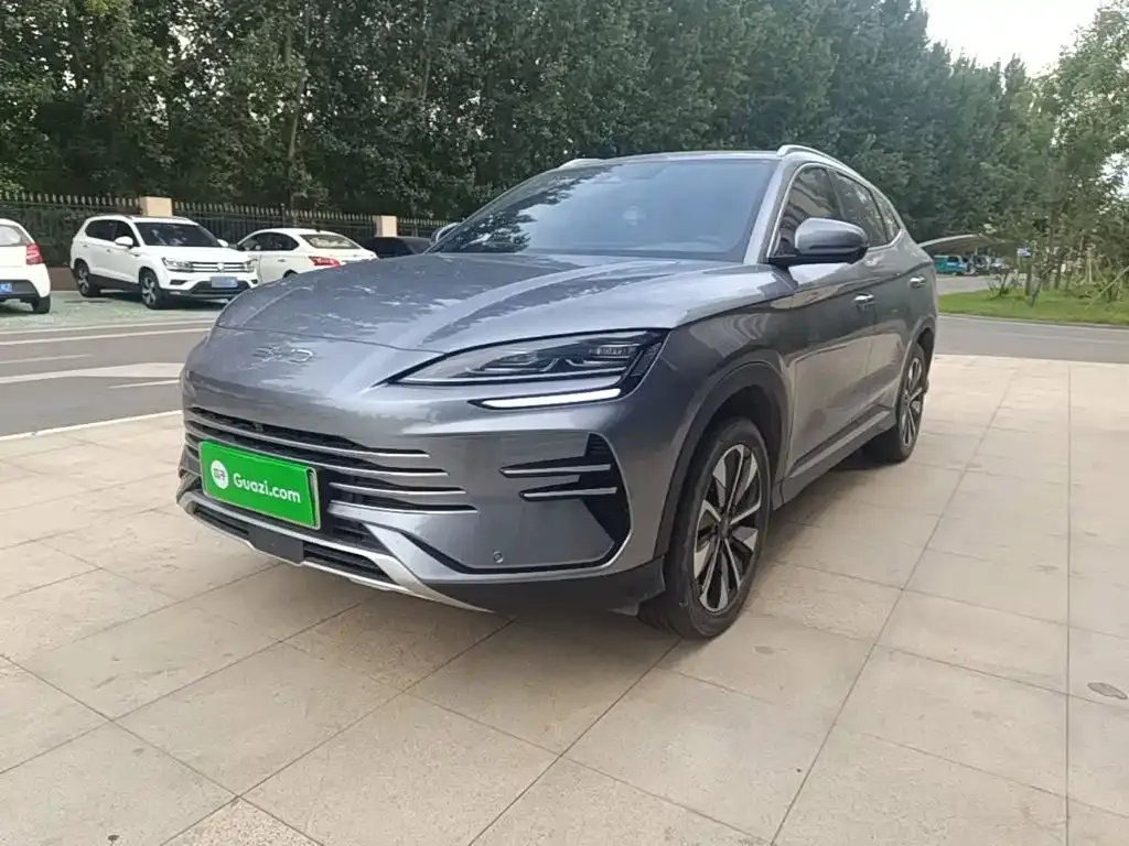 BYD PLUS New Energy — фото 1