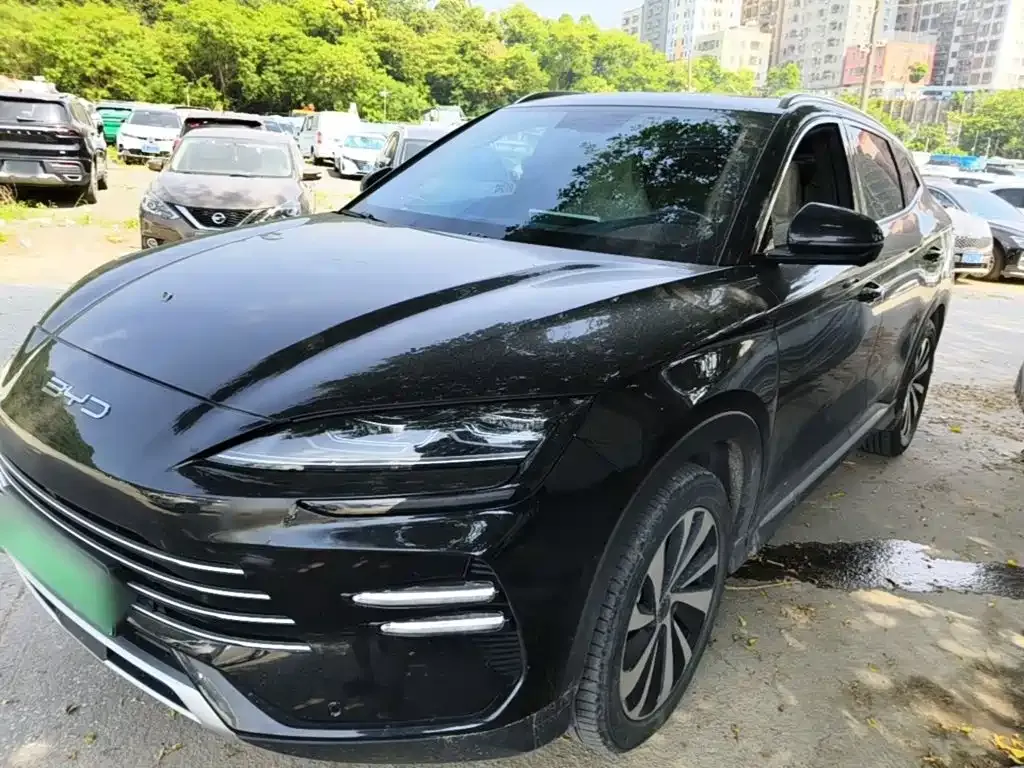 BYD PLUS New Energy — фото 1