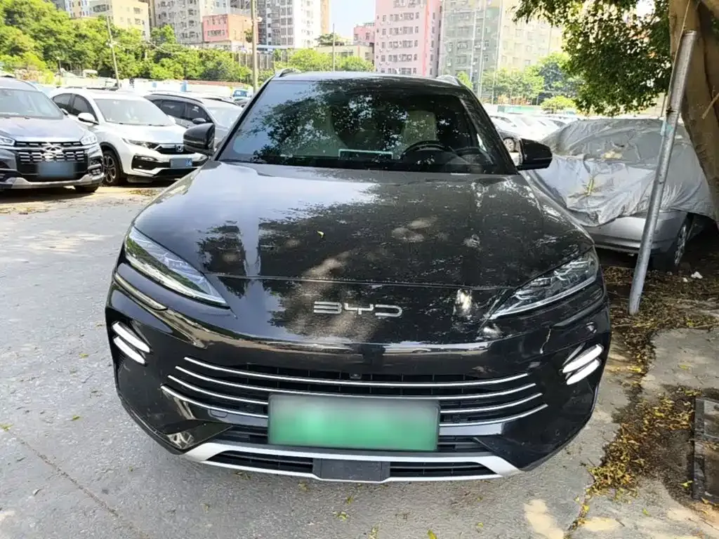 BYD PLUS New Energy — фото 8
