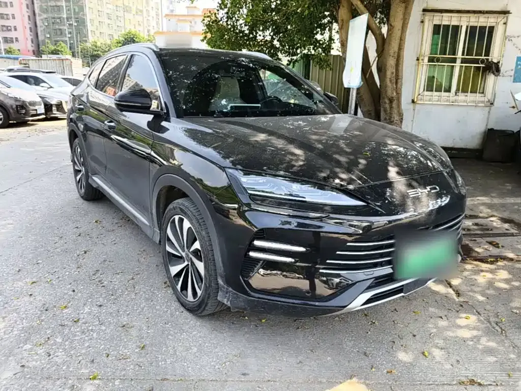 BYD PLUS New Energy — фото 6