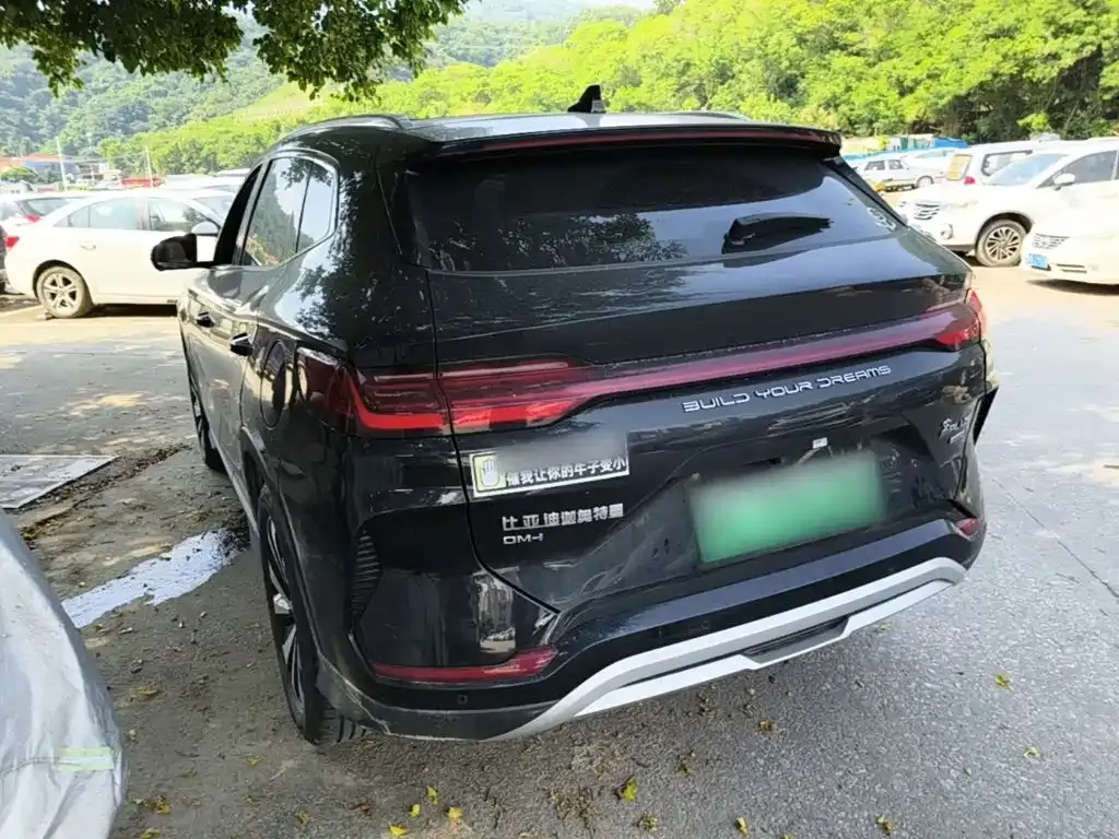 BYD PLUS New Energy — фото 10
