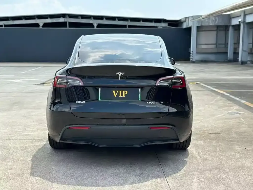 Tesla Model Y — фото 2