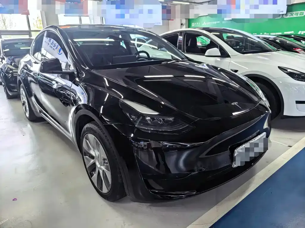 Tesla Model Y — фото 3