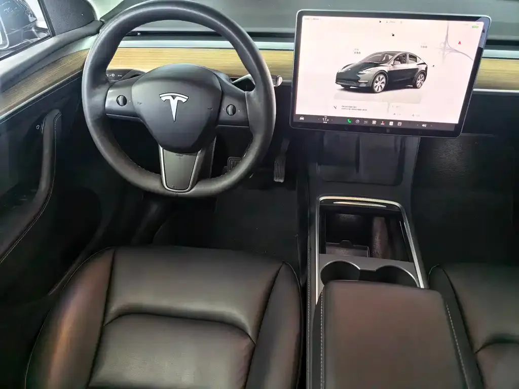 Tesla Model Y — фото 10