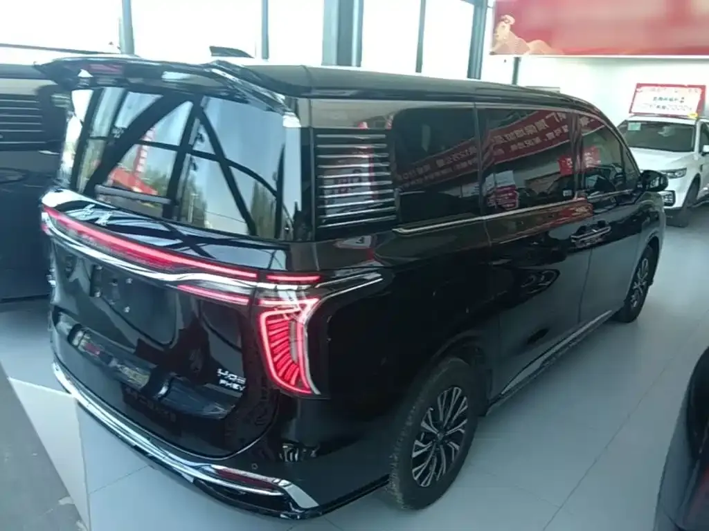 Hongqi HQ9 PHEV — фото 9