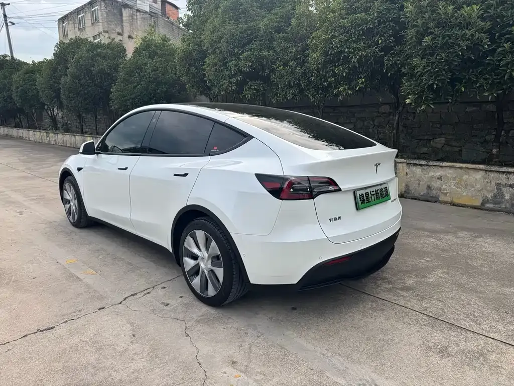 Tesla Model Y — фото 10