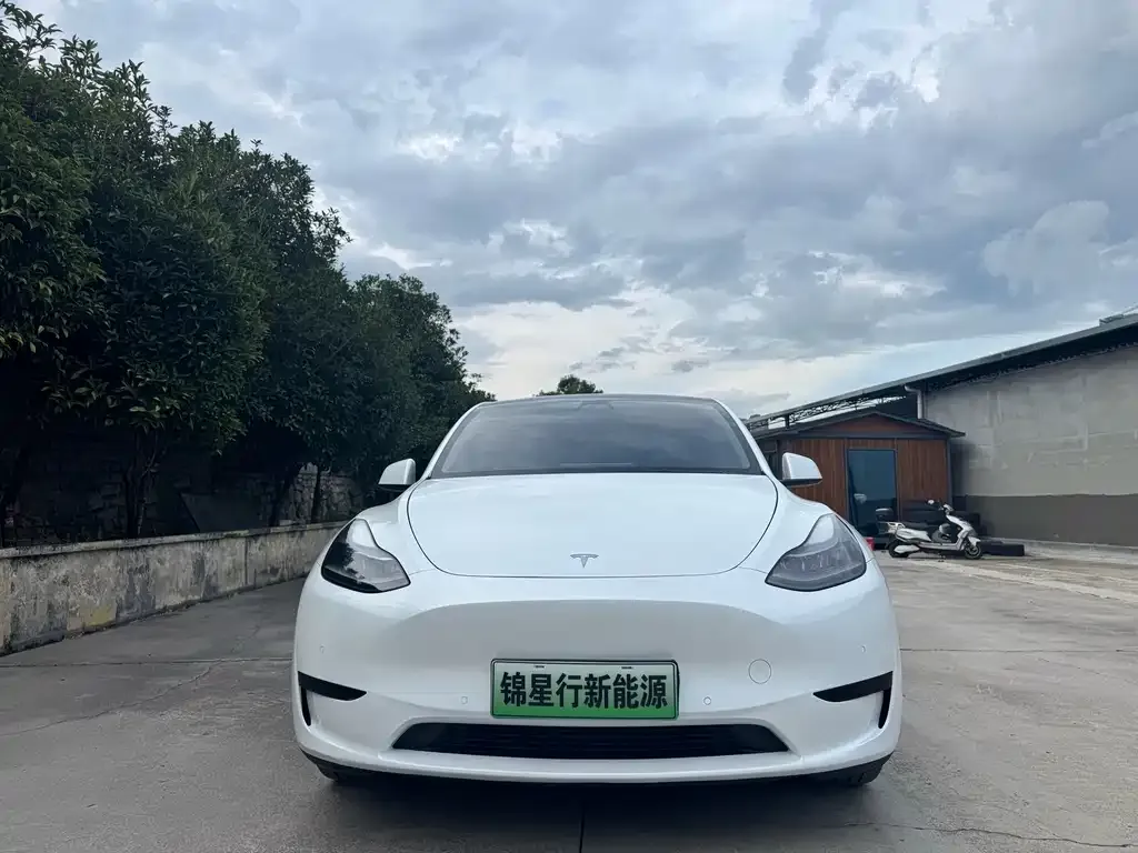 Tesla Model Y — фото 5