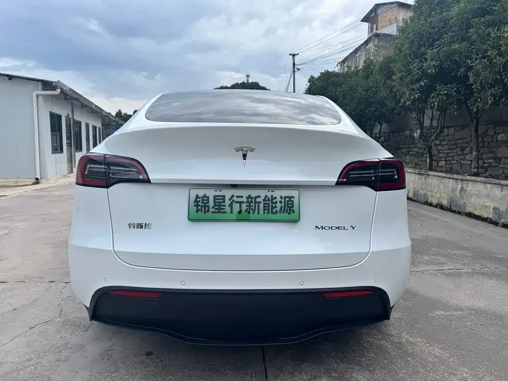 Tesla Model Y — фото 4