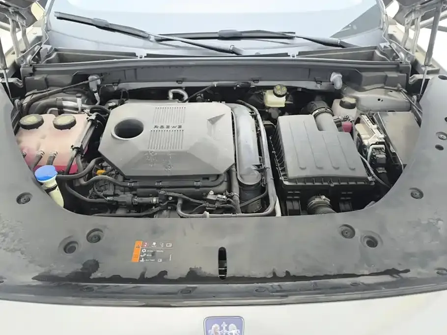Roewe RX5 New Energy — фото 10
