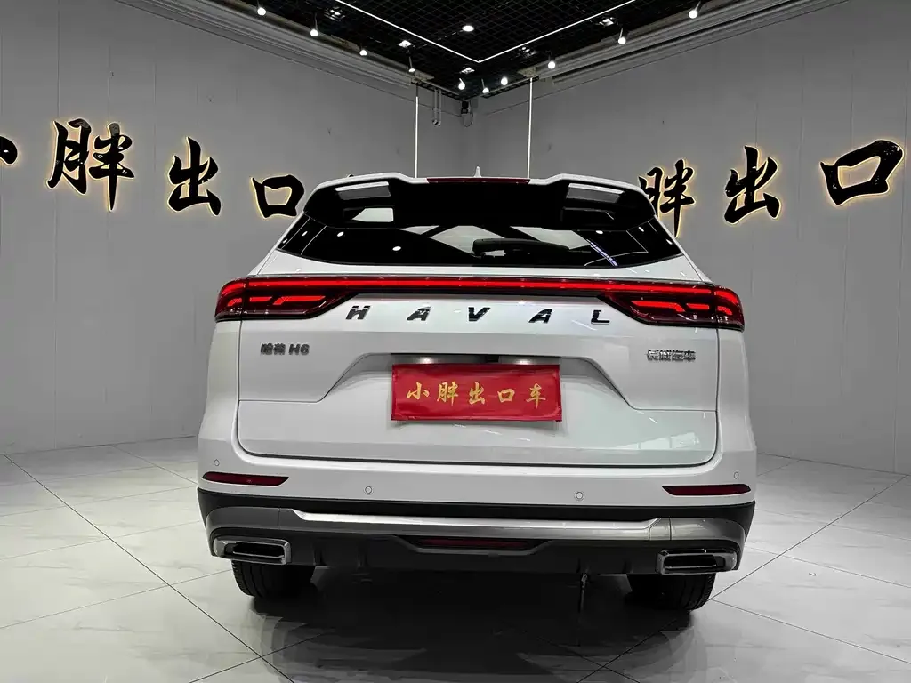 Haval H6 — фото 4