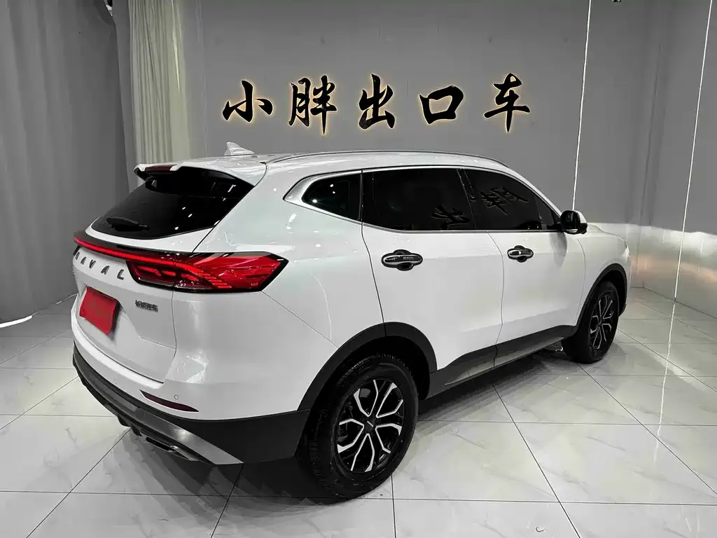 Haval H6 — фото 8