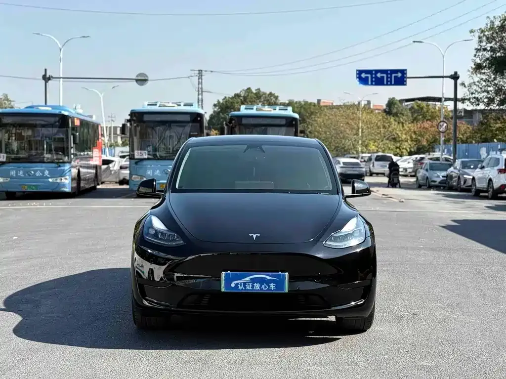 Tesla Model Y — фото 8