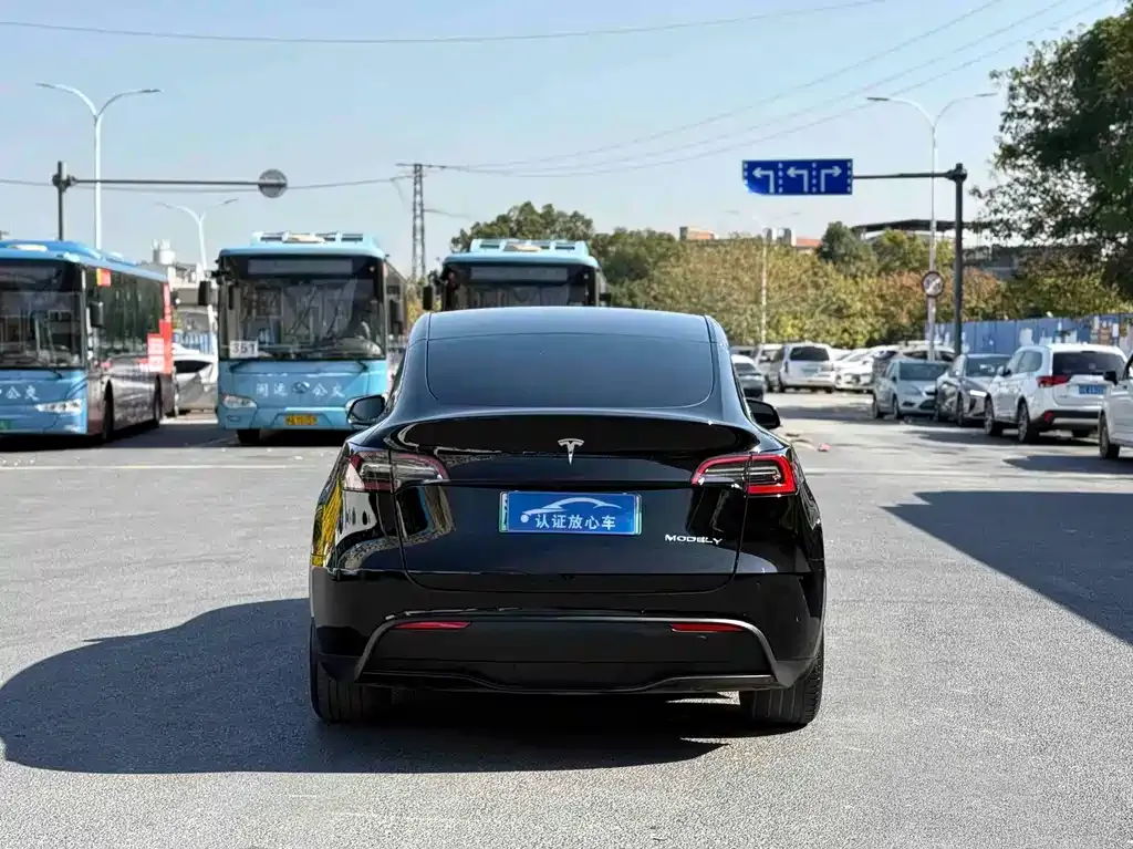 Tesla Model Y — фото 7